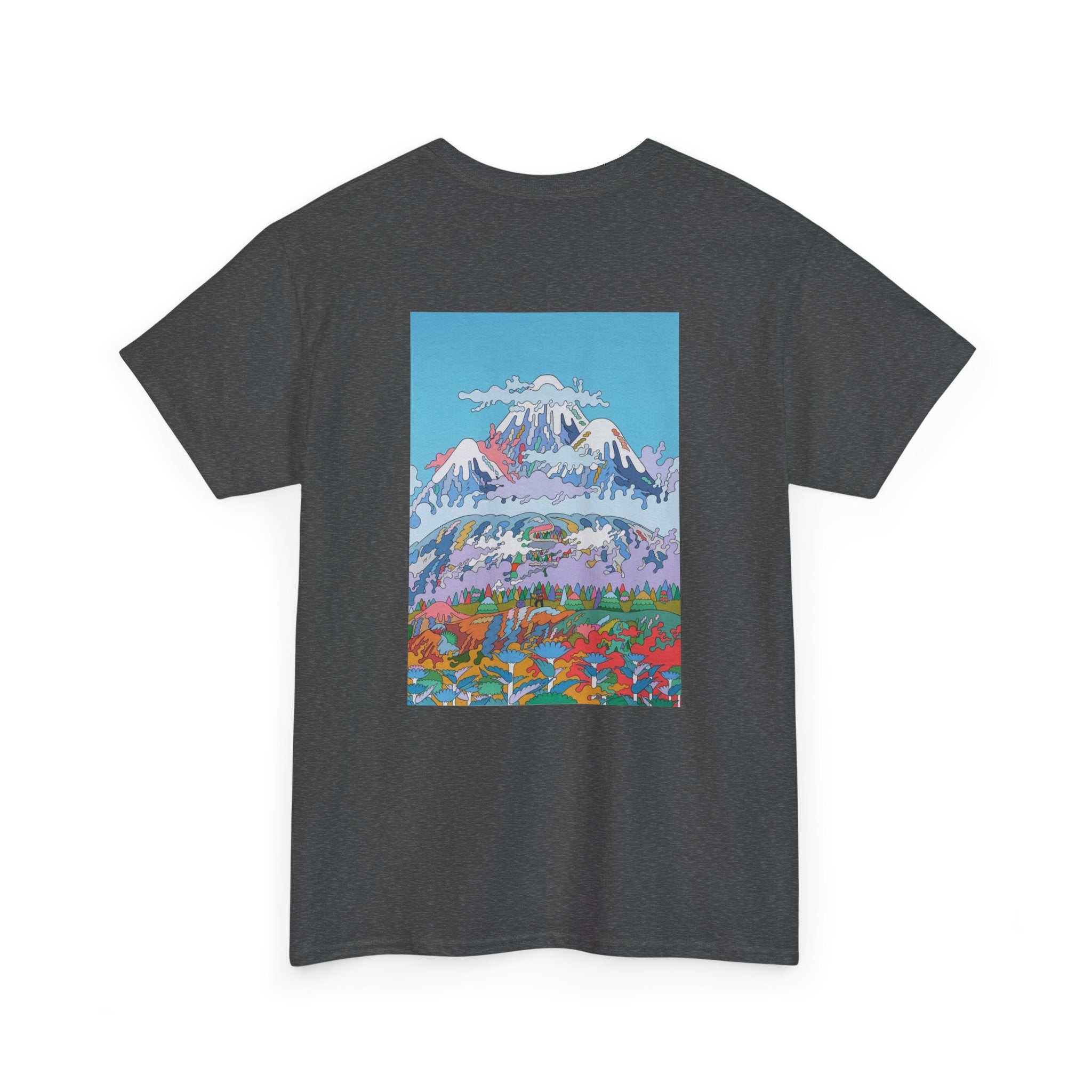 Mountain (W)all in the mind
