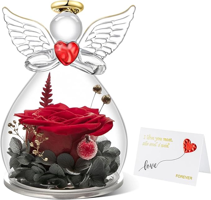 61NRR3IW0oL._AC_SX679_