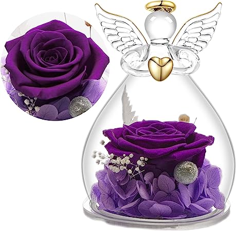 71QQnlqVqcL._AC_SY450_