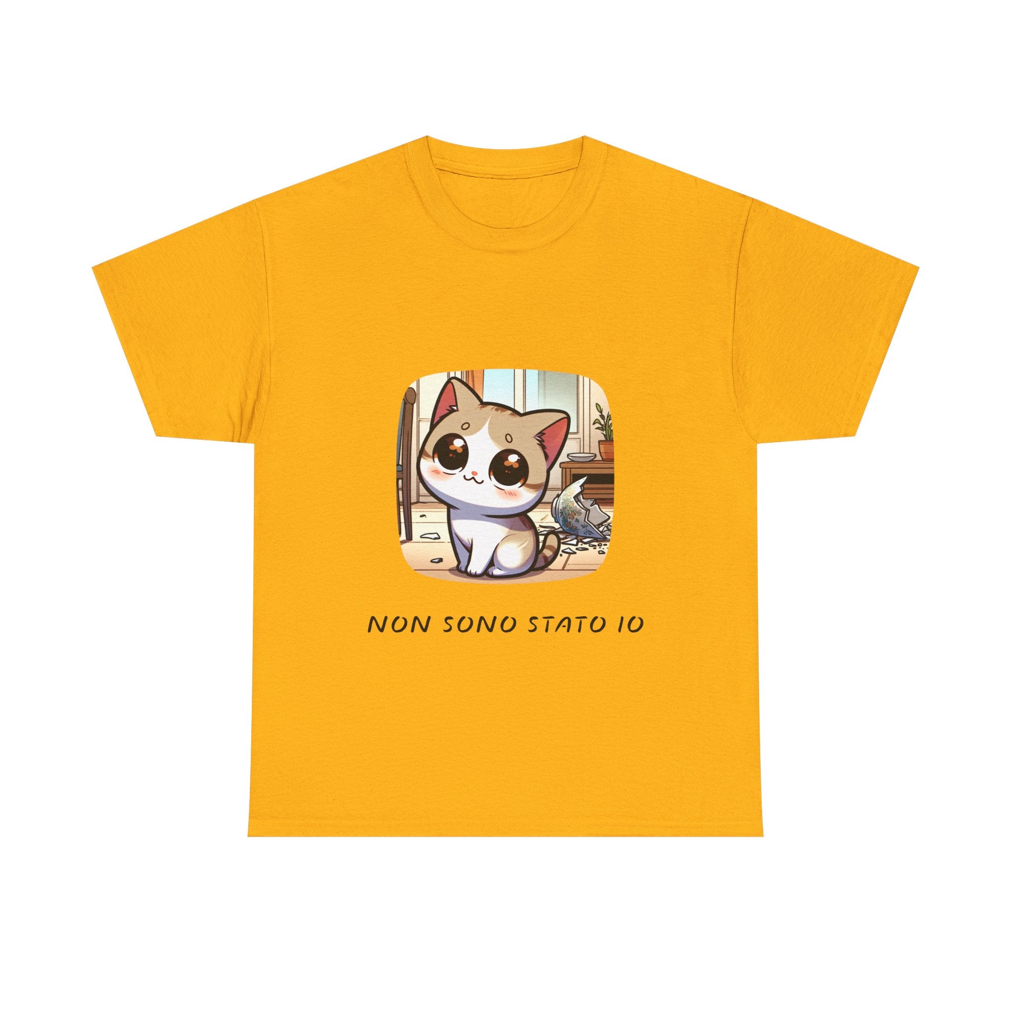 Non sono stato io
